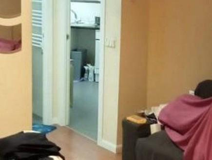 דירה להשכיר: הגרסה למבוגרים בלבד