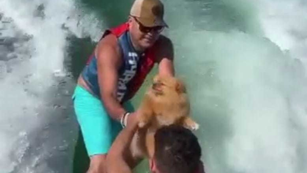 סערת הכלבה בלב ים סערת הכלבה בלב ים