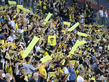 צפי לתצוגת קהל בטדי (דני מרון)