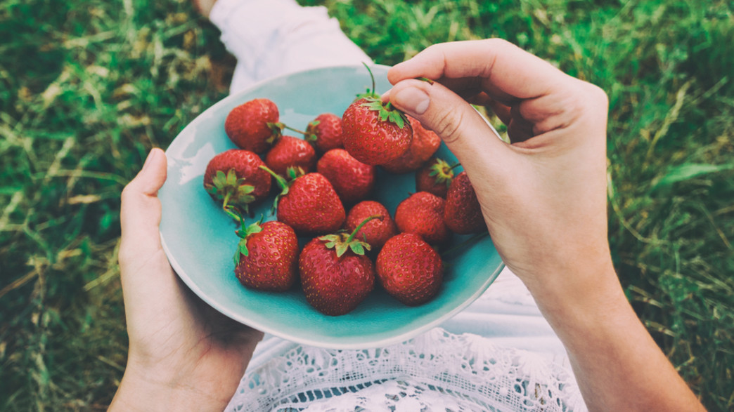 קערת תותים קערת תותים
