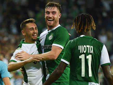 חגיגות ירוקות (ברני ארדוב)