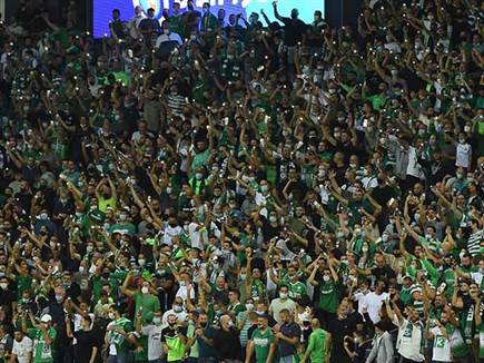 הקהל הירוק היה בטירוף (ברני ארדוב)