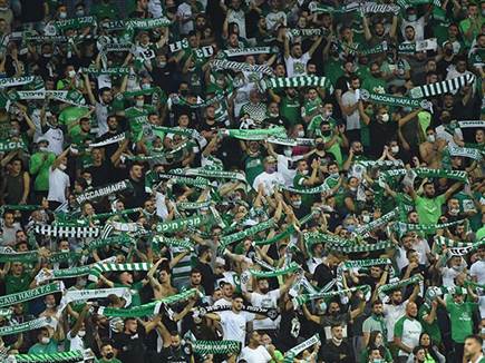 סיבה טובה לעודד ביציעים (ברני ארדוב)