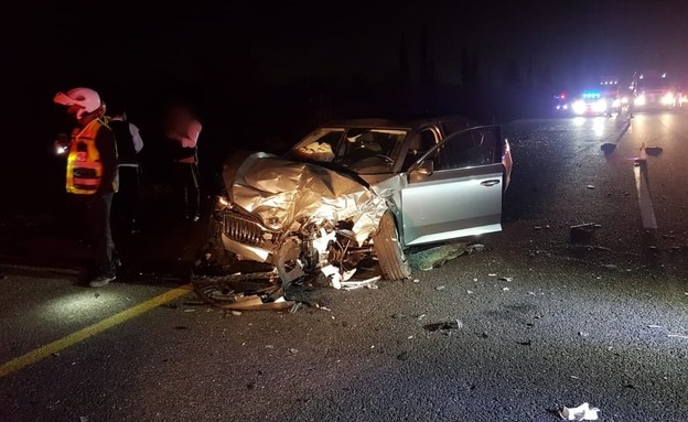 תאונת הדרכים בכביש 7 (צילום: דוברות המשטרה)