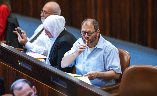 הכנסת הצביעה על תקציב המדינה 2021-2022 במליאה (צילום: פלאש/90 )