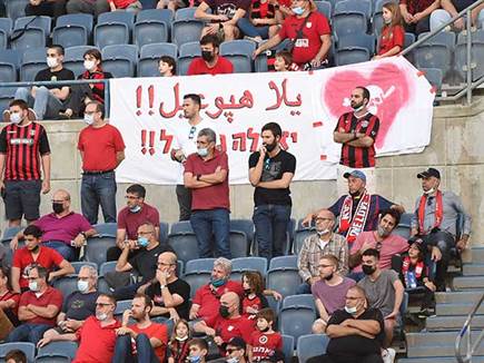 הקהל האדום בטדי (ברני ארדוב)