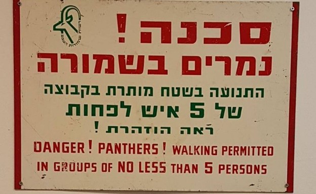 אזהרת נמרים: שלט בשמורת עין גדי (צילום: אייל ברטוב, רשות הטבע והגנים)