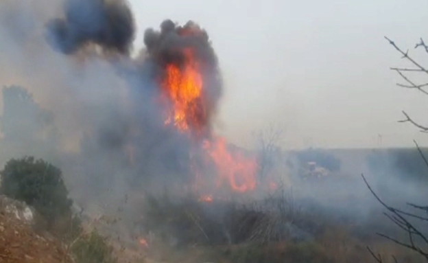 שרפה בזיתן (צילום: כבאות והצלה)