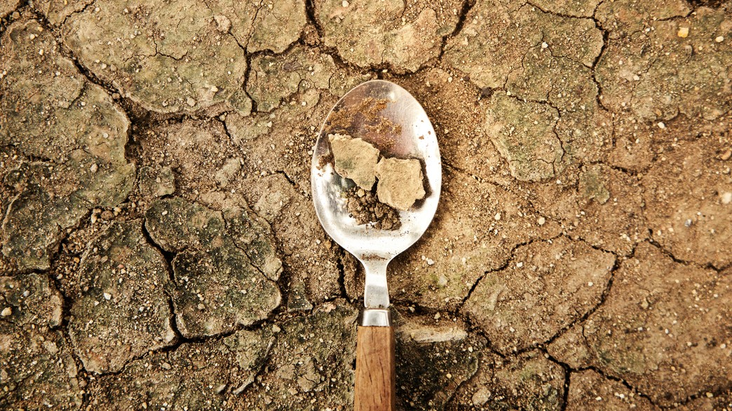 משבר מזון עולמי