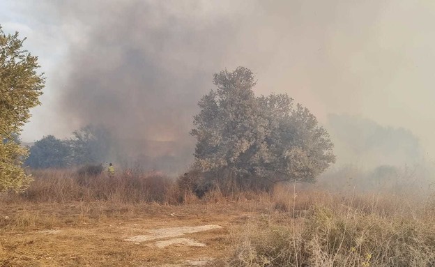 שריפה ביער שוהם (צילום: נטע מזרחי קליטת קהל ביערות קק״ל)