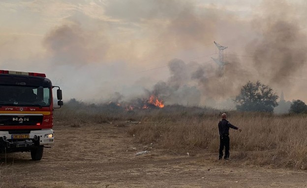 שריפה ביער שוהם (צילום: כבאות והצלה)