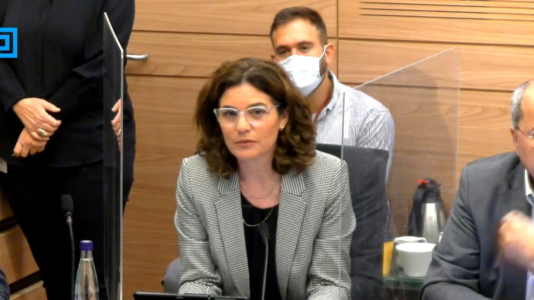 תמר זנדברג בוועדת הכספים תמר זנדברג בוועדת הכספים