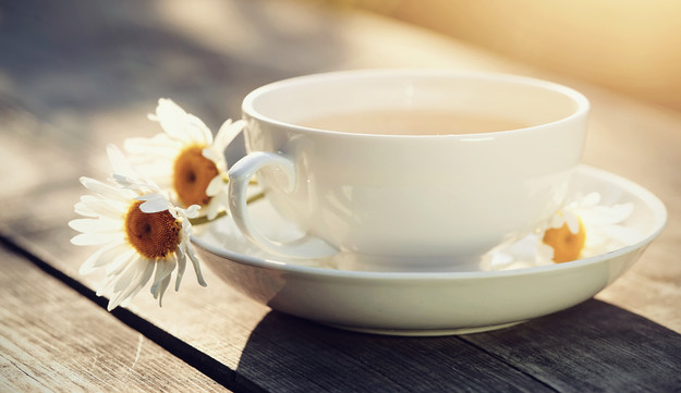 תה קמומיל (צילום: Elya Vatel, Shutterstock)