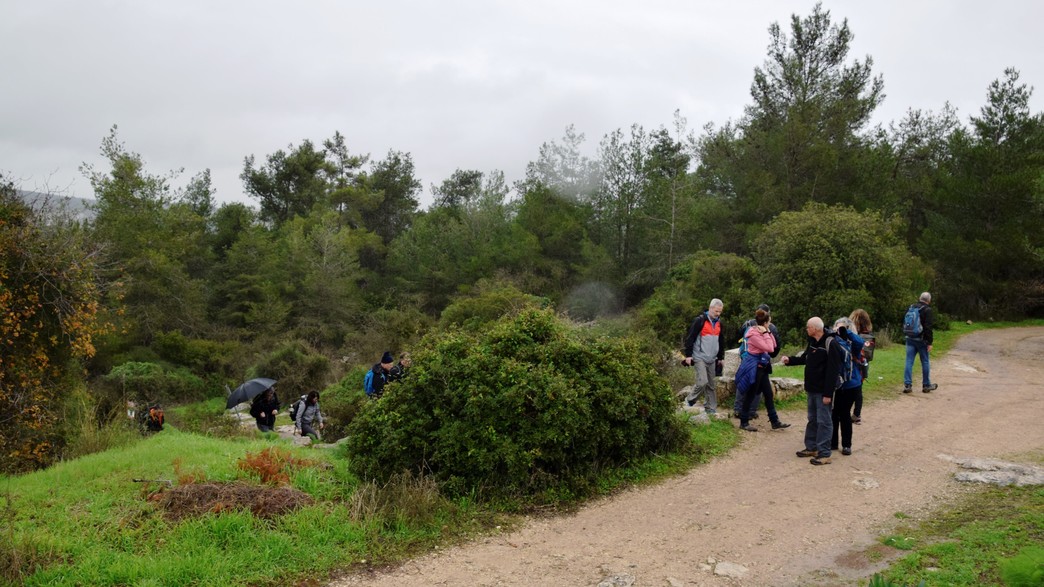 טיול שקדיות בפארק בריטניה - יחיאל כהן (2) טיול שקדיות בפארק בריטניה - יחיאל כהן (2)