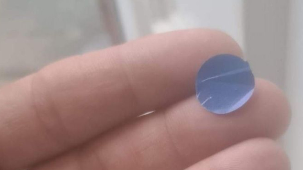 סכנה לכלבים סכנה לכלבים