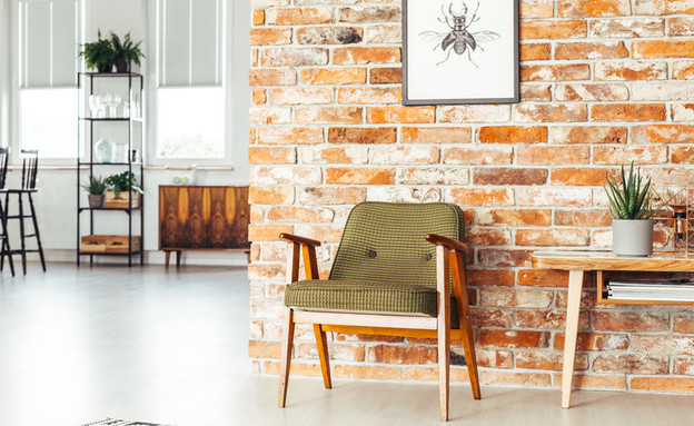 לופה בריקים על קיר בסלון (צילום: Shutterstock by Photographee.eu)