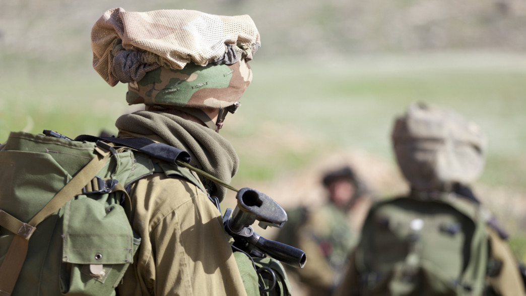 חייל עם נשק (צילום: Dmitry Pistrov, Shutterstock)