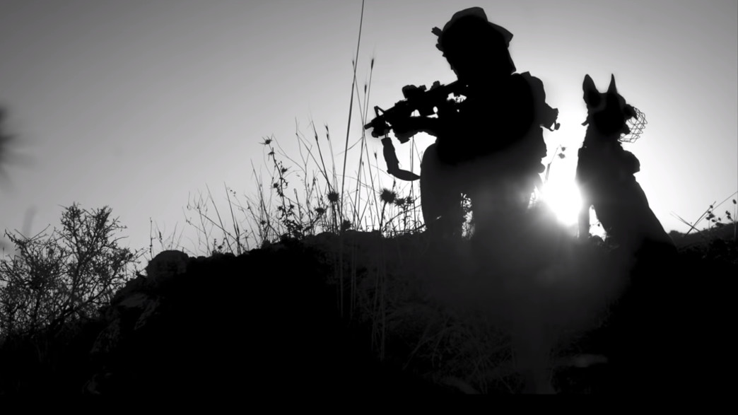 תשדיר יום ההוקרה לנפגעי פעולות האיבה תשדיר יום ההוקרה לנפגעי פעולות האיבה