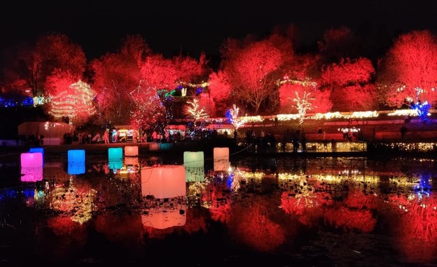 פסטיבל אורות בגן הבוטני (צילום: תום עמית )