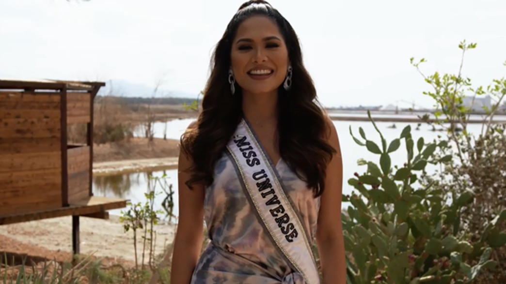 אנדראה מסה, מיס יוניברס