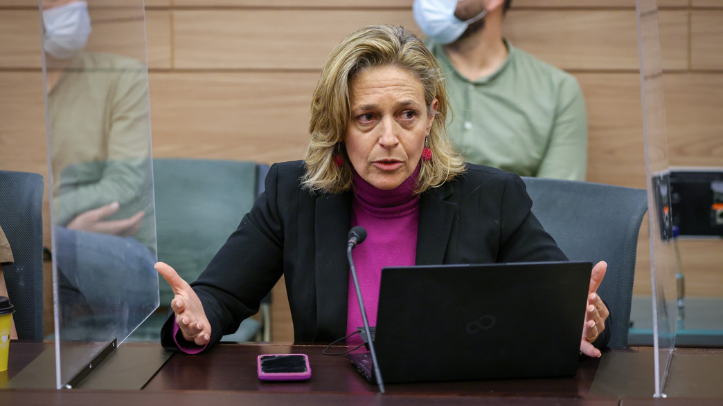 ד"ר שרון אלרעי פרייס בועדת חוקה, חוק ומשפט ד"ר שרון אלרעי פרייס בועדת חוקה, חוק ומשפט