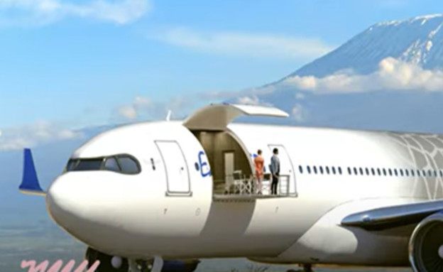מטוס פרטי חונה (הדמיה: youtube)