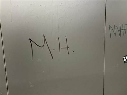 הוונדליזם בבלומפילד