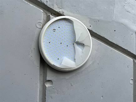 הוונדליזם בבלומפילד