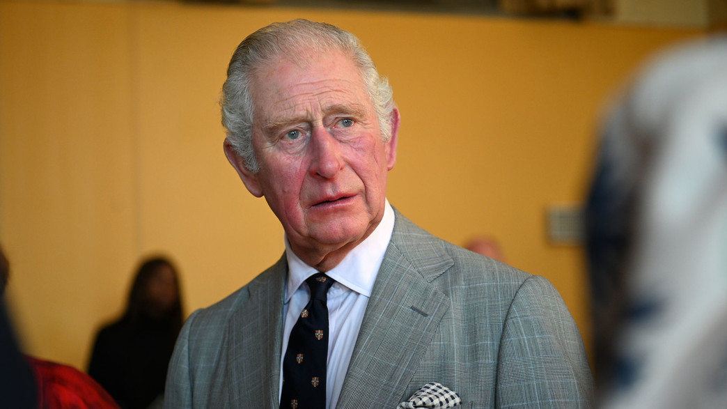 הנסיך צ'ארלס (צילום: Daniel Leal - WPA Pool, Getty Images)