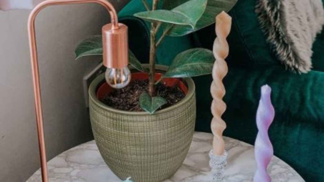 הטרנד המושלם הטרנד המושלם