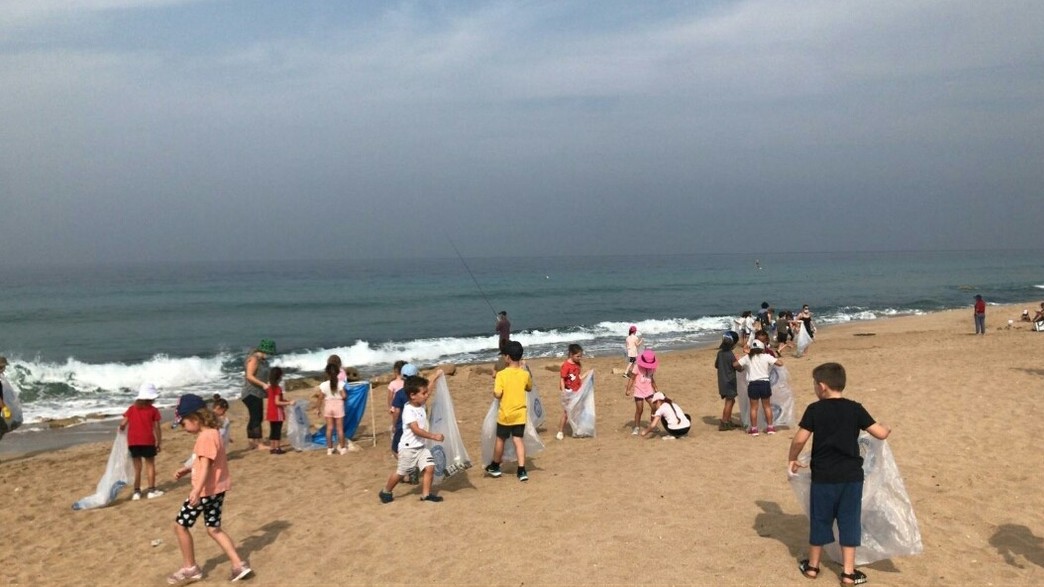 ניקוי חוף בצת ניקוי חוף בצת