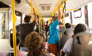 האם אפשר להבתדר בתחבורה ציבורית? (צילום: Juliana F Rodrigues, shutterstock)