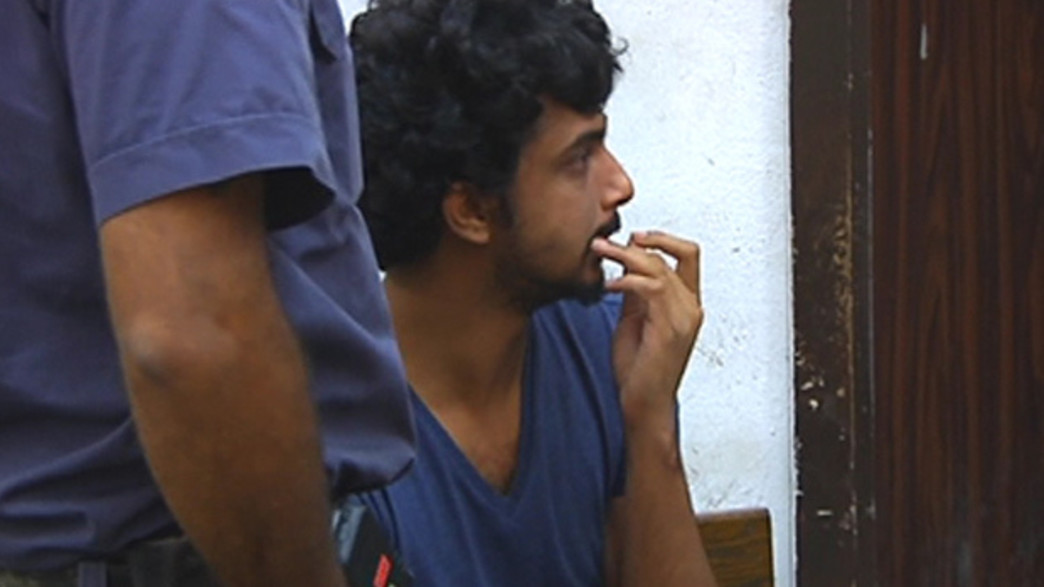 דקל ששונקר בבית המשפט, ארכיון דקל ששונקר בבית המשפט, ארכיון