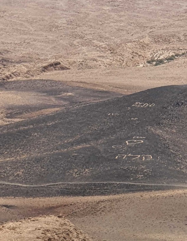 משחיתים את המדבר (צילום: יפתח דבש)