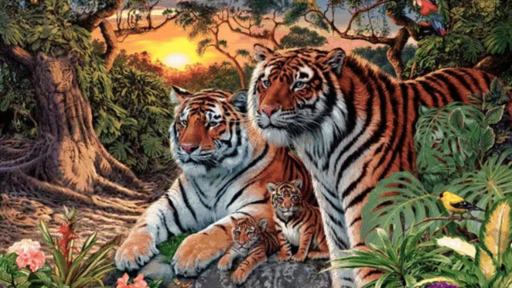 נמר לחידה השבועית