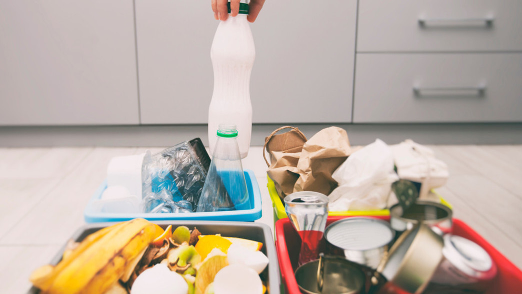 תמיר מחזור תמיר מחזור