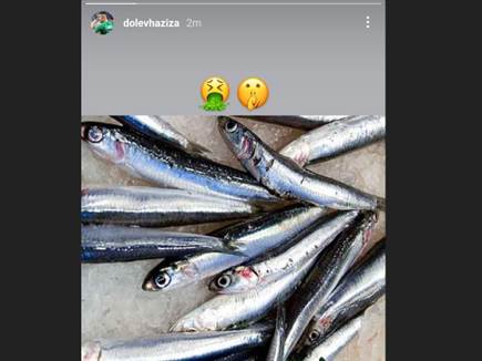 ושל חזיזה הפוסט של אראל (צילום מסך: מתוך אינסטגרם)