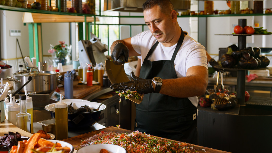 אבי לוי המצלה אבי לוי המצלה
