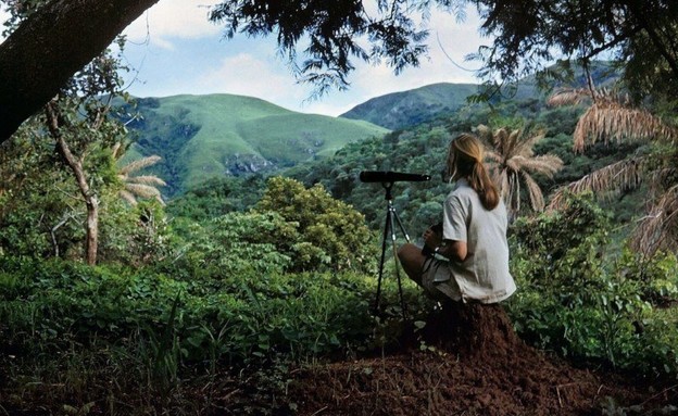 ג'יין גודול  (צילום: Jane Goodall)