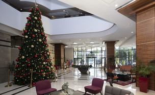 רמדה אוליביה (צילום:  אפיק גבאי)