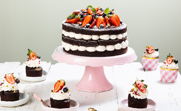 עוגת שכבות שוקולד עם פירות יער (צילום: אלון מסיקה)