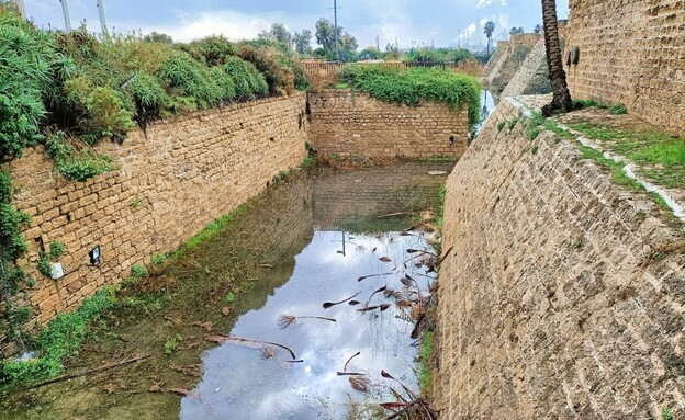 חפיר המצודה הקדומה בגן הלאומי קיסריה התמלא במים (צילום: עידן יצחקיאן, רשות הטבע והגנים)