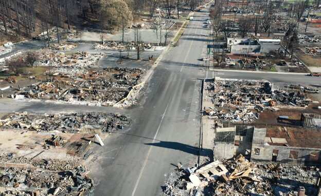 ההרס שנותר בגרינוויל אחרי השרפות (צילום: חדשות 12)