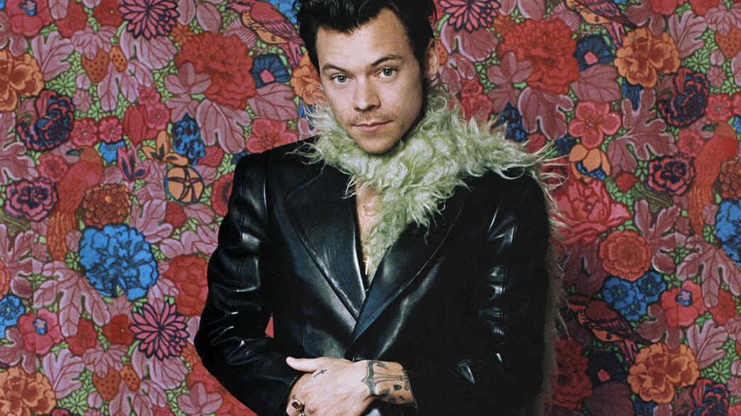 Feels Excessive: Harry Styles has declined a million dollars