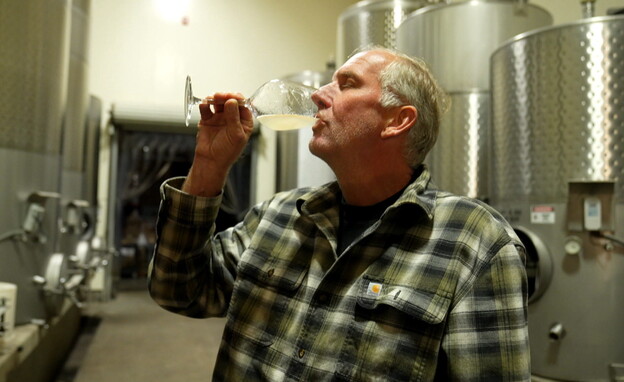 רנדי שותה יין (צילום: חדשות 12)