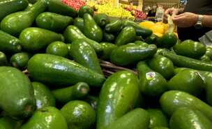 האם מחירי הפירות והירקות יירדו? (צילום: חדשות 12)