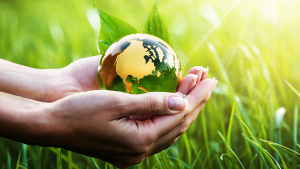 עשיתי לא עשיתי למען הסביבה