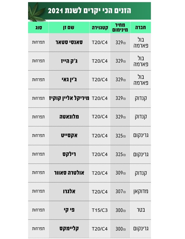 זני הקנאביס הכי יקרים 2021 (צילום: כאנביס)