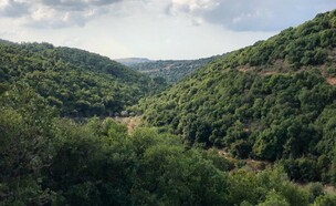 נחל מורן- נוף הגליל (צילום: מירב טלמור קשי)