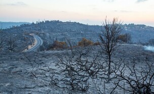 משבר האקלים (צילום: Dor Nevo, Greenpeace)